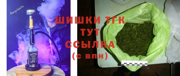 эйфоретик Новодвинск