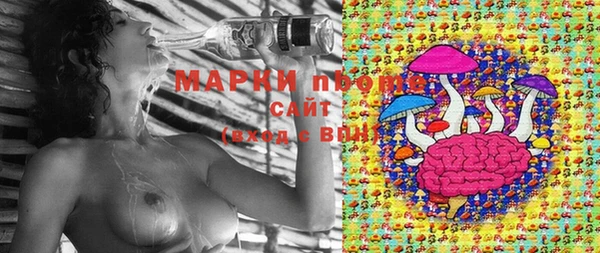молекула духа Нязепетровск