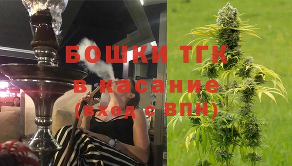 молекула духа Нязепетровск