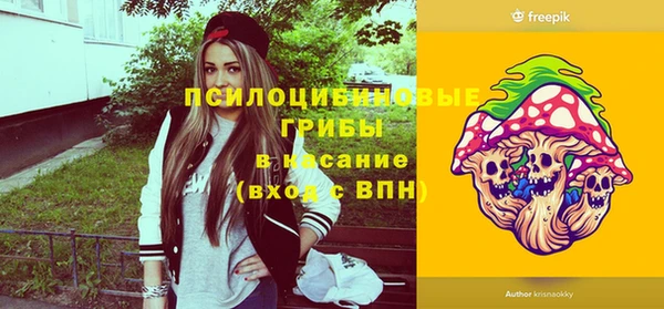 не бодяженный Новозыбков