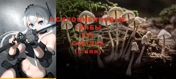 скорость Новокубанск