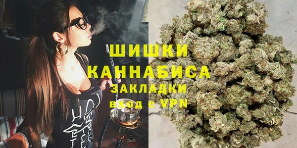 не бодяженный Новозыбков