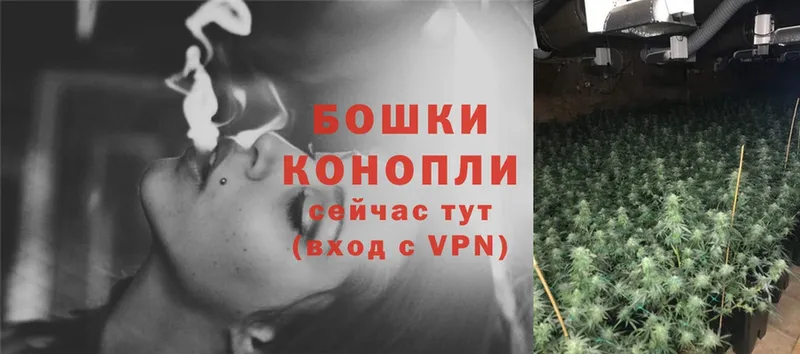 Бошки Шишки THC 21%  Тарко-Сале 